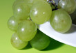 fresh grape
