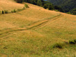 old road