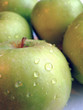 apples 004