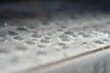 rain droplets