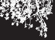 Illustration: branches branches