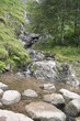 mountain stream
