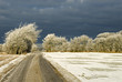 snow strom coming up