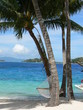 borabora4