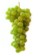 grape
