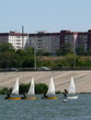 regatta