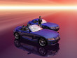 bmw z4 2.5 i sportscar with promotion model.