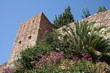 alcazaba fleuri