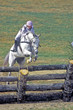 horse jumping