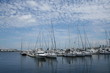 docked boats