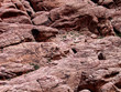 red rocks up-close