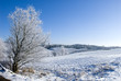 winter landscape