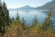 furry lake, vancouver, bc 4