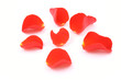 red rose petals