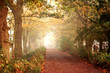 misty journey