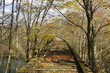 abandoned pennsylvania railroad trestle