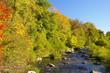 little schuylkill river