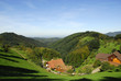 talblick