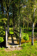 nature 3