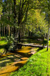 nature 1