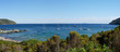 lacona