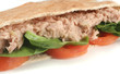 tuna pita tuna pita