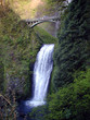 bridge over the falls