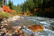 south fork