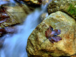 wasserfall