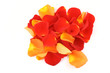 red and orange rose petals