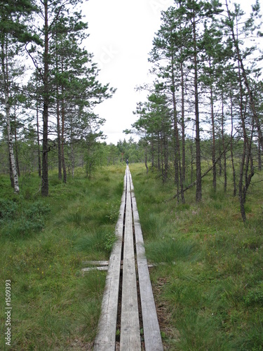 sommer in sweden sommer in sweden