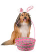 easter dog 2