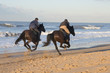 horse riding