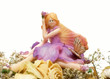 little fairy