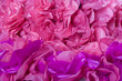 pink and purple texture
