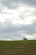 american civil war monument 5