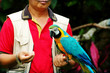 man holding a parrot
