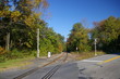 autumn lane