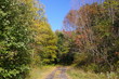 autumn lane