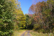 autumn lane