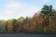 fall