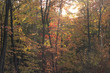 fall
