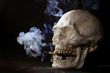 smoking skull