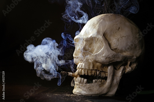Photo: smoking skull smoking skull