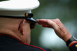 old marine salutes old marine salutes