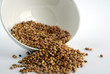 coriander seeds 4