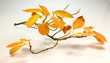 baumblatt ao_061020_3590.cr2