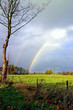 rainbow1