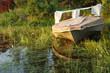 quay in wood
