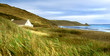 newgale beach
